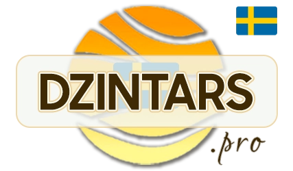 DZINTARS•PRO