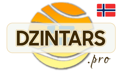 DZINTARS•PRO