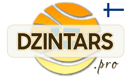 DZINTARS•PRO