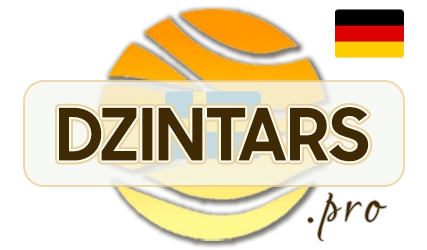 DZINTARS•PRO