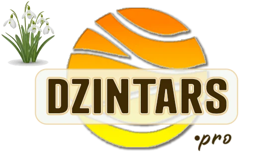 DZINTARS•PRO | Dzintara rotas, dāvanas un suvenīri no Latvijas