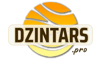 DZINTARS•PRO