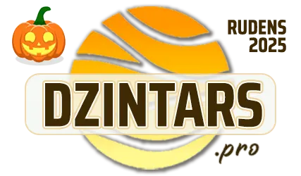 DZINTARS•PRO