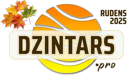 DZINTARS•PRO