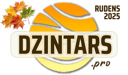 DZINTARS•PRO