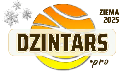 DZINTARS•PRO