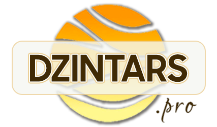 DZINTARS•PRO
