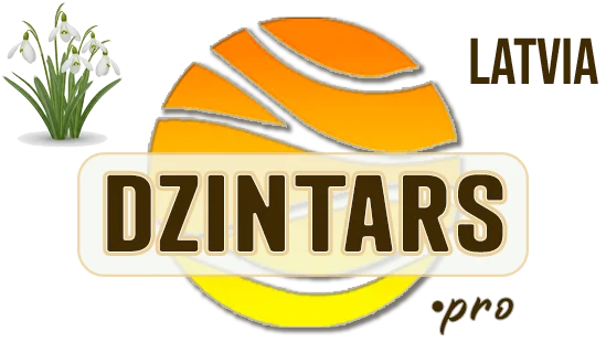 DZINTARS•PRO | Dzintara rotas, dāvanas un suvenīri no Latvijas