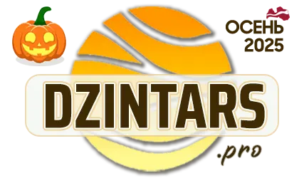 DZINTARS•PRO