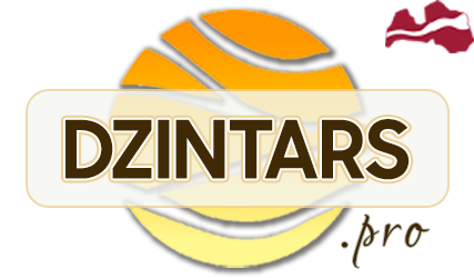 DZINTARS•PRO