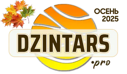 DZINTARS•PRO