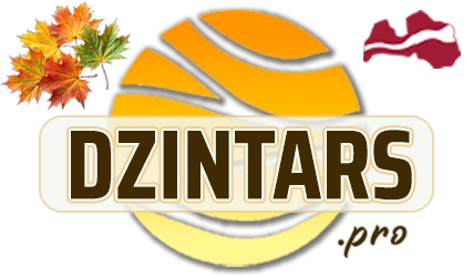 DZINTARS•PRO