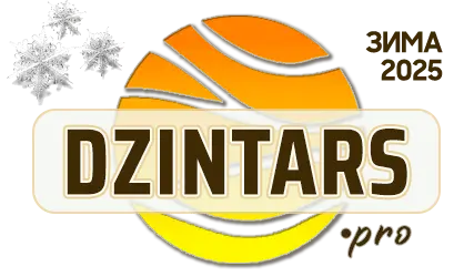 DZINTARS•PRO